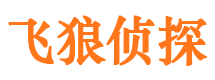 紫阳市私家侦探